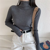 PENERAN Women Turtleneck Sweaters Female Slim Pullover Basic Tops Autumn Winter Casual Soft Knit Sweater Soft Warm Jumper