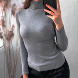 PENERAN  2022 Autumn Winter Knitted Turtleneck Women Sweater Korean Casual Long Sleeve Solid Ladies Skinny Pullover Sweater