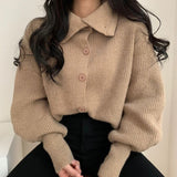 PENERAN Sweater Women Lapel Buttoned Cardigan Spring Fall Turtleneck Long Sleeve Solid Sweaters Tops Ladies Korean Style Jacket 2022