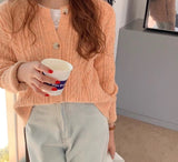casual spring autumn oversize sweater crop Cardigans Women basic loose O-neck THICK Sweater female short Cardigans